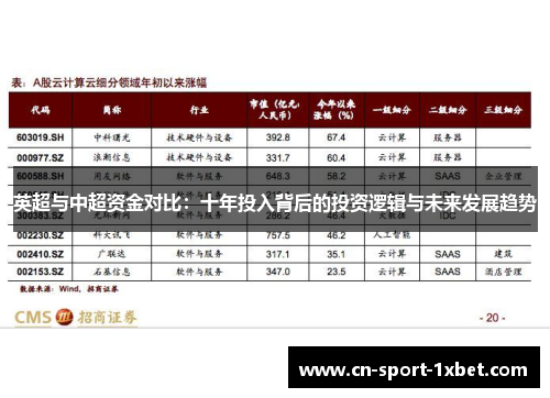 英超与中超资金对比:十年投入背后的投资逻辑与未来发展趋势 英超与中超资金对比:十年投入背后的投资逻辑与未来发展趋势