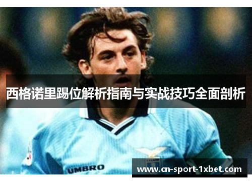 西格诺里踢位解析指南与实战技巧全面剖析 西格诺里踢位解析指南与实战技巧全面剖析