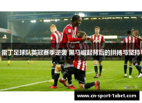 雷丁足球队英冠赛季逆袭 黑马崛起背后的拼搏与坚持 雷丁足球队英冠赛季逆袭 黑马崛起背后的拼搏与坚持