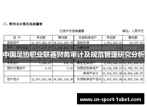中国足协职业联赛财务审计及规范管理研究分析