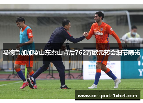 马德鲁加加盟山东泰山背后762万欧元转会细节曝光 马德鲁加加盟山东泰山背后762万欧元转会细节曝光